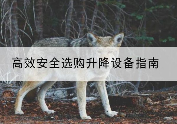 贵南升降货梯厂家推荐-*安全选购升降设备指南