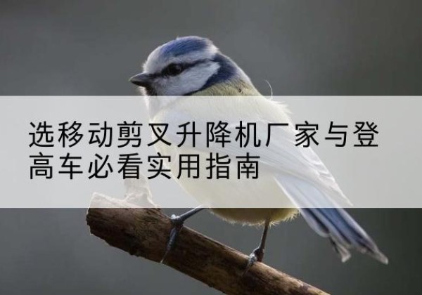贵南电动升降机厂家-选移动剪叉升降机厂家与登高车必看实用指南