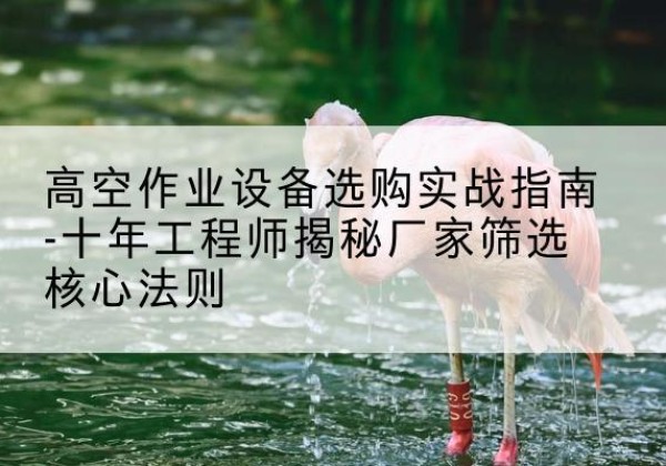 贵南剪叉式升降机厂家-高空作业设备选购实战指南-十年工程师揭秘厂家筛选核心法则
